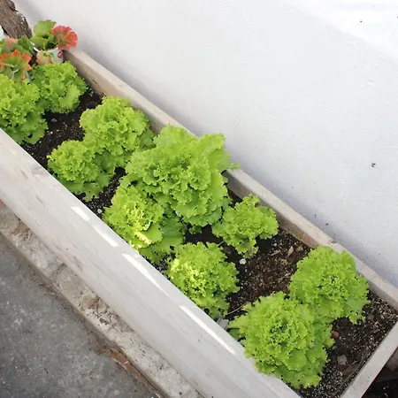 Appartement Stelios Skála Kallirákhis