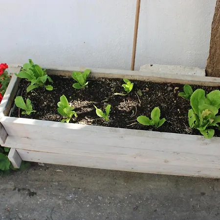 Stelios Skála Kallirákhis