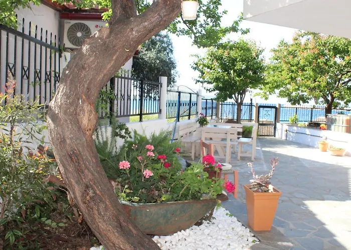 Stelios Skála Kallirákhis