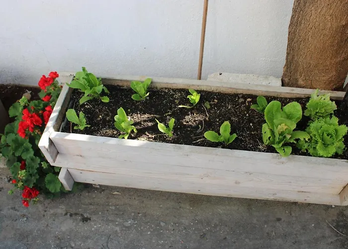 Stelios Σκάλα Καλλιράχης